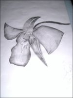 flower.jpg