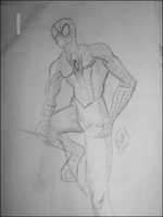 spiderman.jpg