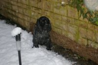 pic 005.jpg