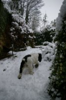 pic 008.jpg
