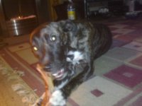 tess n bone.jpg