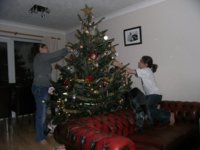 tree.jpg