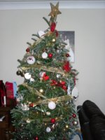 tree2.jpg