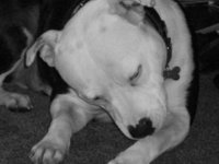 100_2786.jpg