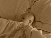 Evie Pics 260.jpg