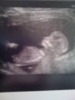 Bubba @ 13 weeks.jpg