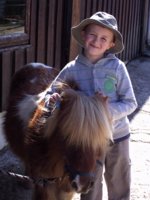 Toby groom horse.jpg