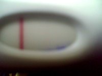 Snapshot_20100427_1.jpg
