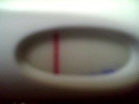 Snapshot_20100427_2.jpg