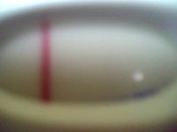 Snapshot_20100427_4.jpg