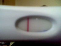 Snapshot_20100427_5.jpg
