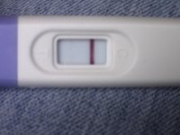Sains Preg Test CD32 Sun 9th May 2010.jpg