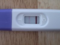 Sains Preg test CD34 Tues 11th May 2010.jpg