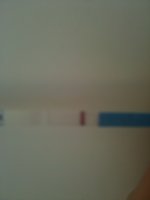 test3.jpg