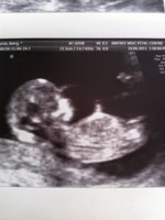 ImageUploadedByTapatalk1304598242.051757.jpg