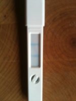 ImageUploadedByTapatalk1305136610.470020.jpg