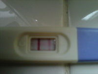 IMG00087-20110517-1813.jpg