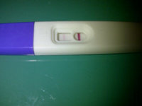 preg test positive.jpg