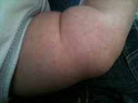 ImageUploadedByTapatalk1306501748.402738.jpg