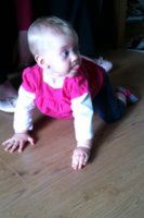 ImageUploadedByTapatalk1306620440.127475.jpg