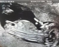 babyrosebig2.jpg
