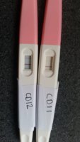 baby number 3 CD12.jpg