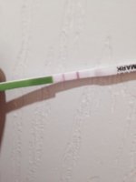 opk-12dpo-smu1.jpg