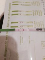 opk-12dpo-smu.jpg