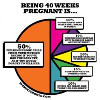 pregnancy-chart-e1409779608547.jpg