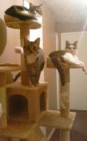 FB_IMG_1452709406309.jpg
