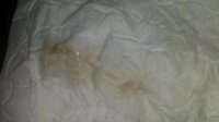 20160516_213025.jpg