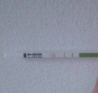 IMG_20160711_072414.JPG