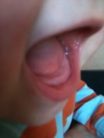 ImageUploadedByTapatalk1307466778.311872.jpg