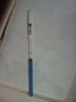OPK 11:06:11jpg.jpg