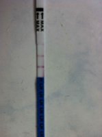 OPK 17:06:11.jpg