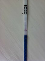 OPK 18:06:11.jpg