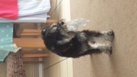 20160823_133720.jpg
