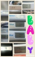 Collage 2016-10-11 10_45_07.jpg