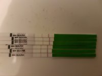 thumbnail_20161210_175332.jpg