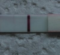 IMAG1410_1.jpg