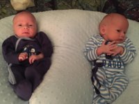 IMG_3771.jpg