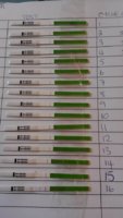 Progession OPK.jpg