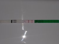 20170922_163057.jpg