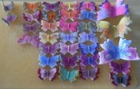 painted butterflies.jpg