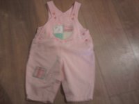 Tesco little bear Dungarees.jpg