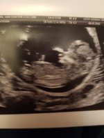 preggo.jpg