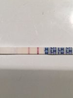 7A154AED-17C6-4028-93D3-1686FDF18773.jpg