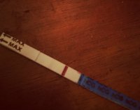 _20180201_173155.JPG