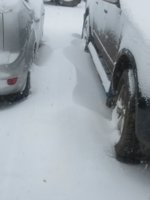 snow.jpg