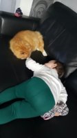 2018-03-01 12.19.03.jpg